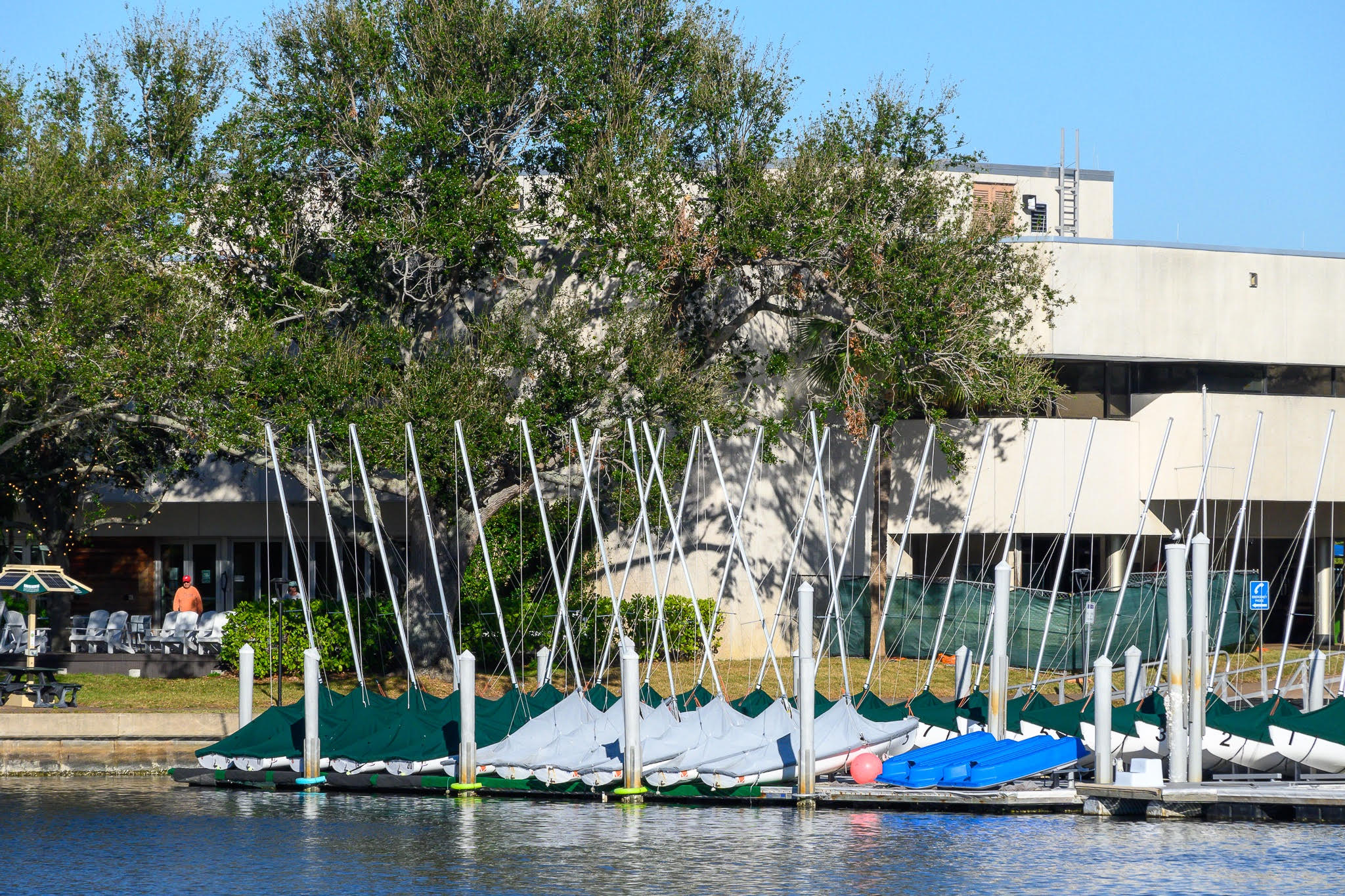 USF Waterfront